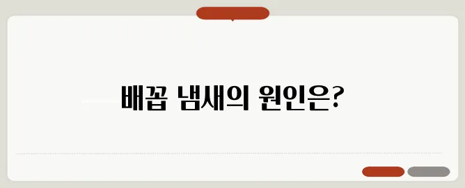 배꼽 냄새 나는 이유와 청결 유지 방법