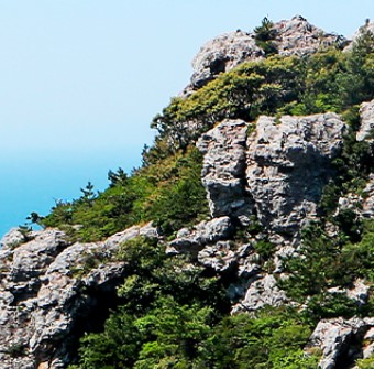 완도여객선터미널 청산도 배편 예약과 시간표 및 운임요금 및 주차요금 관련사진