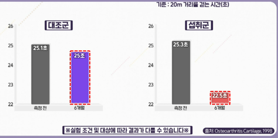 콘드로이친