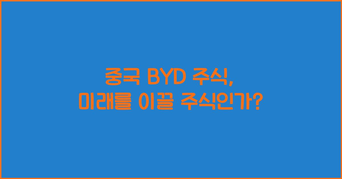 중국 byd 주식