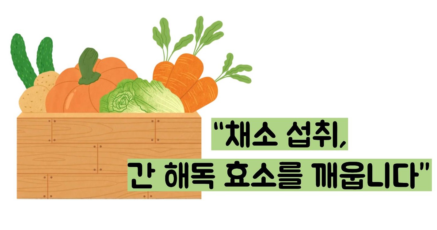 간수치 내리는 방법