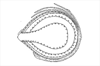 투구(오른쪽에서 본 모습) · 실측도(위에서 본 모습)