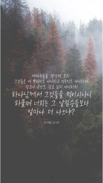 매일성경묵상(누가복음 12장 13-34절) 누가 네 인생의 주인이냐?_13