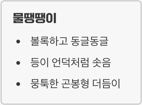 자세히 보면 다른 생김새