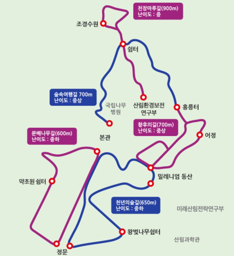 홍릉수목원