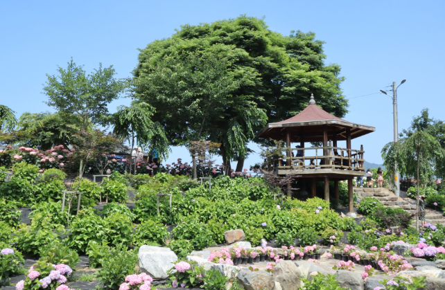 공주 1인 가구 생활비 상세 분석 — 공주는 1인 가구에게 정말 “살기 편한 도시”일까