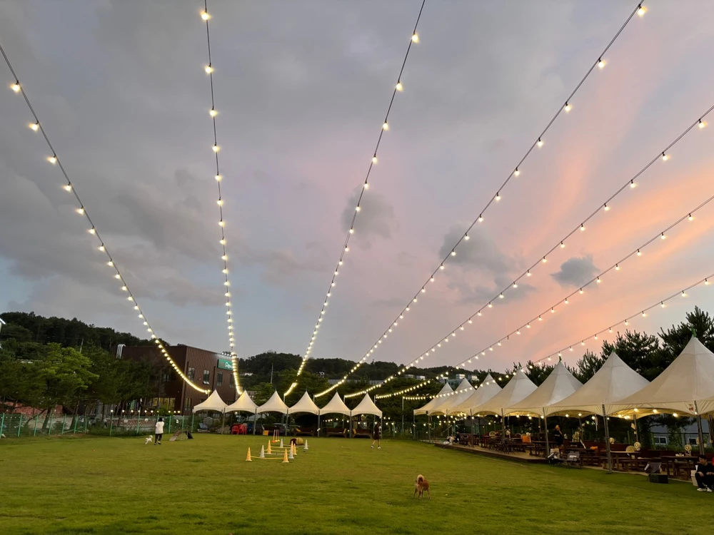 뽀야네 딩가댕가