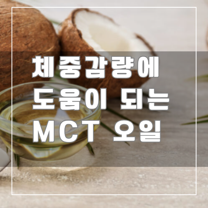 MCT 오일