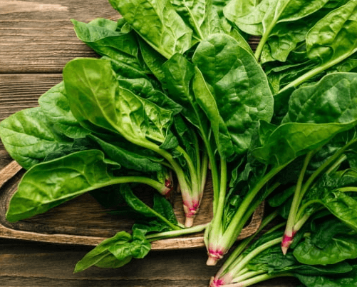 몸속-염증에-좋은-음식