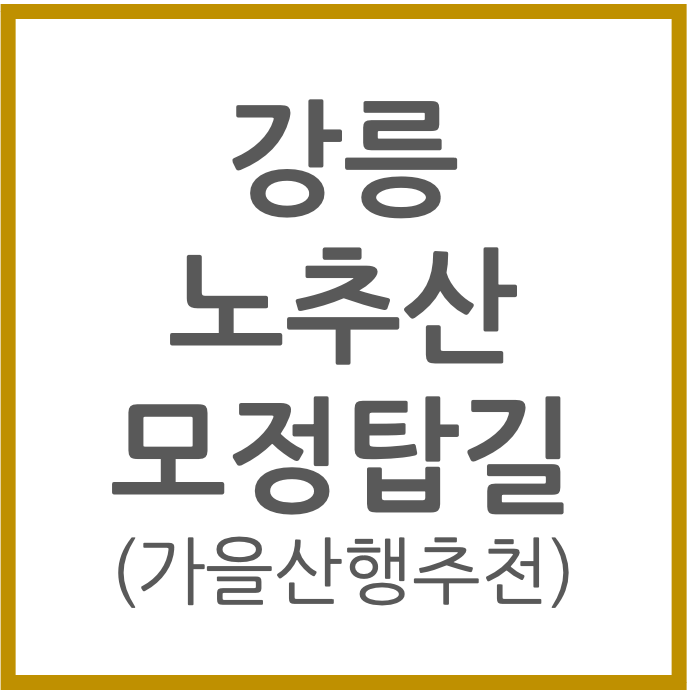 강릉 노추산 모정탑길