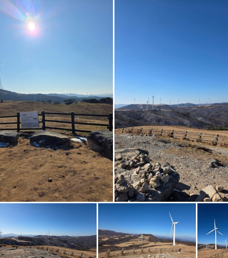 5세 아이와 함께한 대관령 삼양라운드힐