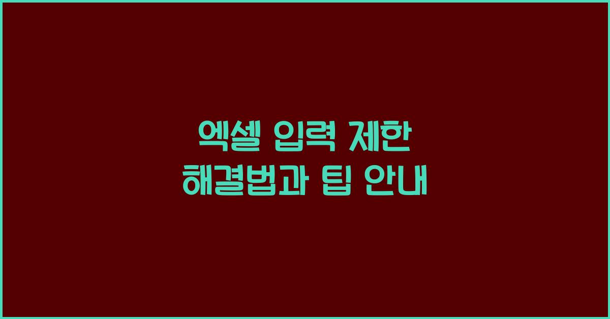 엑셀 입력 제한