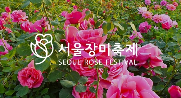 서울 장미 축제
