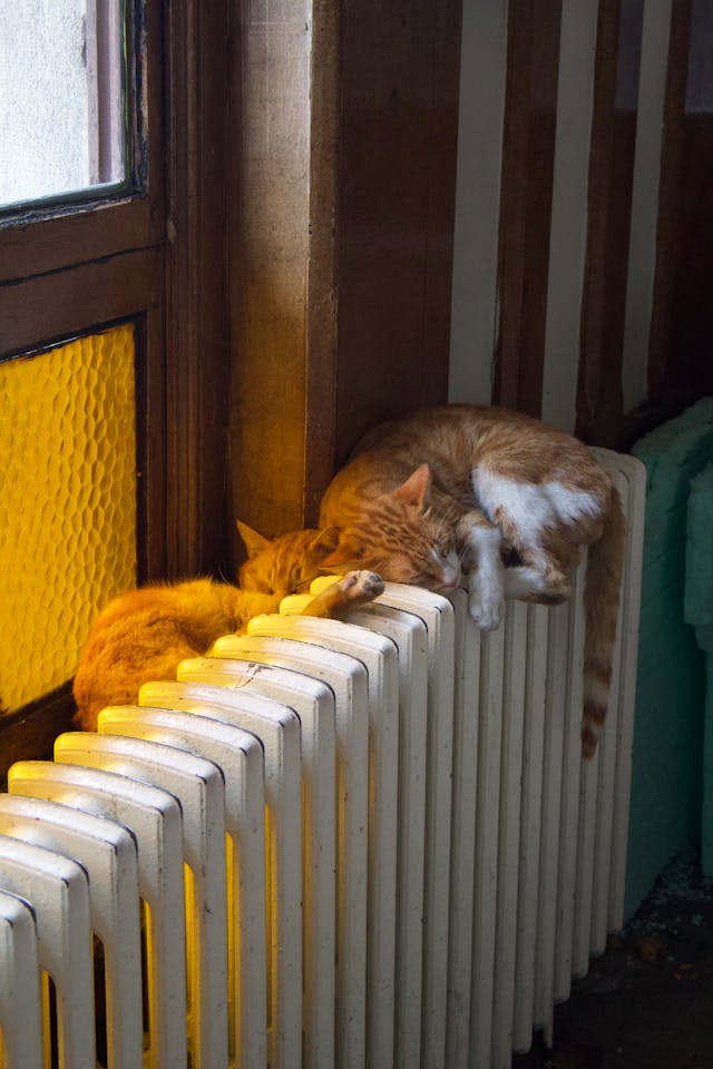 겨울철 복층형 난방가전 추천 가이드