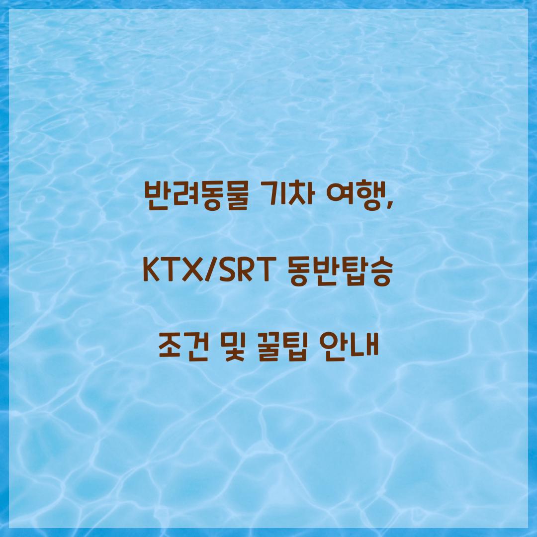 반려동물 기차 여행