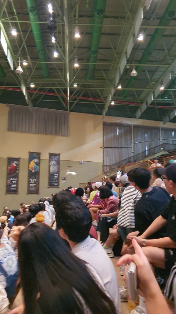 사람들의 머리 위를 나는 새