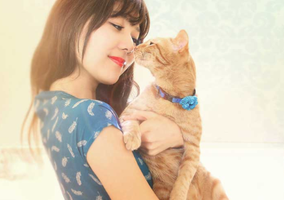 고양이 울음소리를 훈육으로 예방하는 이미지 이미지