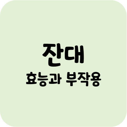 잔대의 효능과 부작용