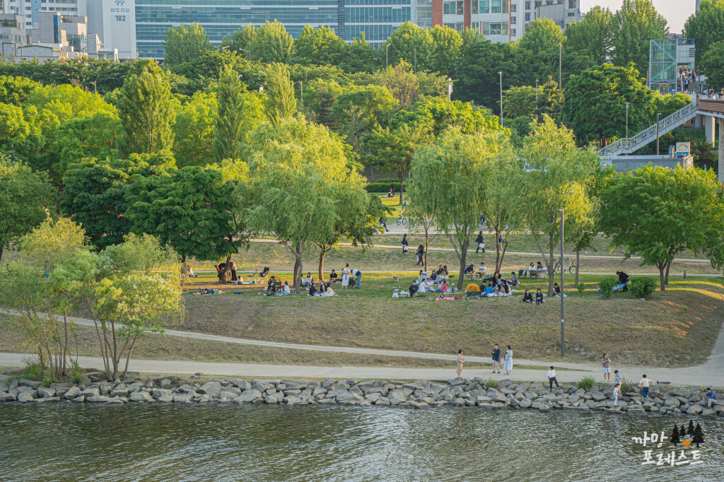 선유도공원 피크닉