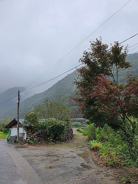 강원도 삼척 마을 풍경