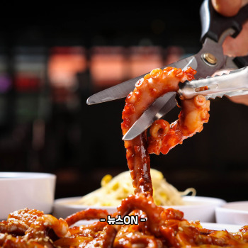 낙지볶음 황금레시피