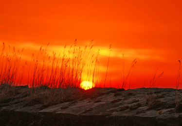 정동진 해변 해돋이