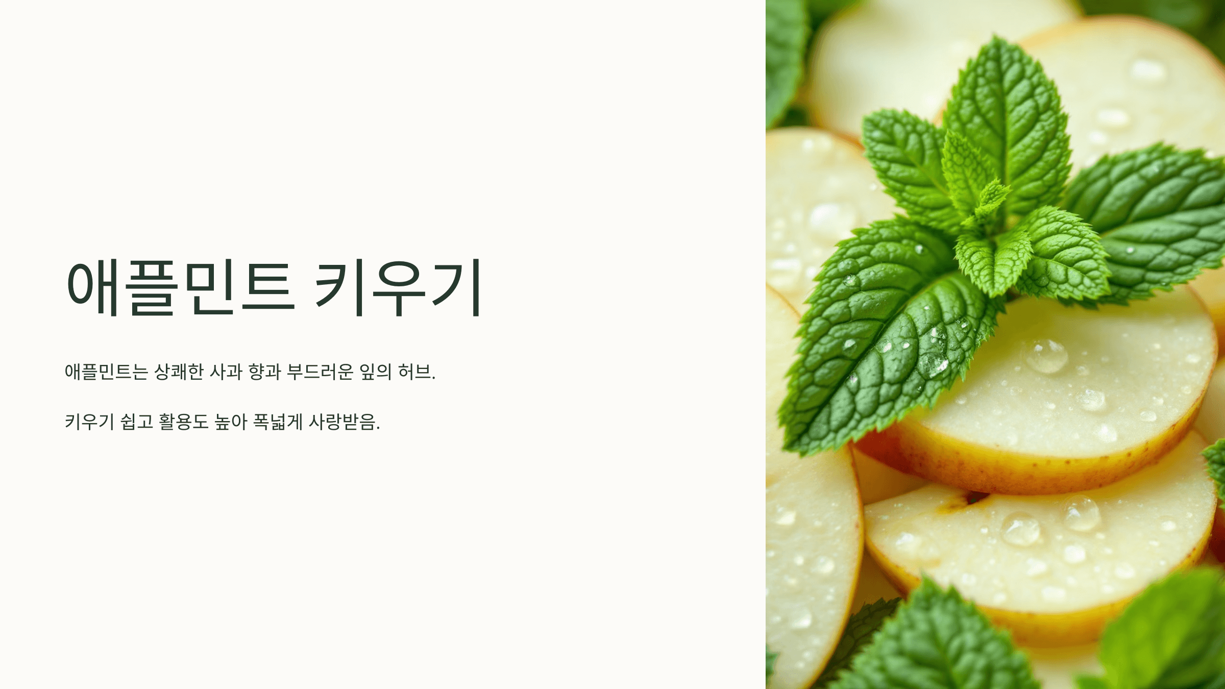 애플민트 사진입니다.