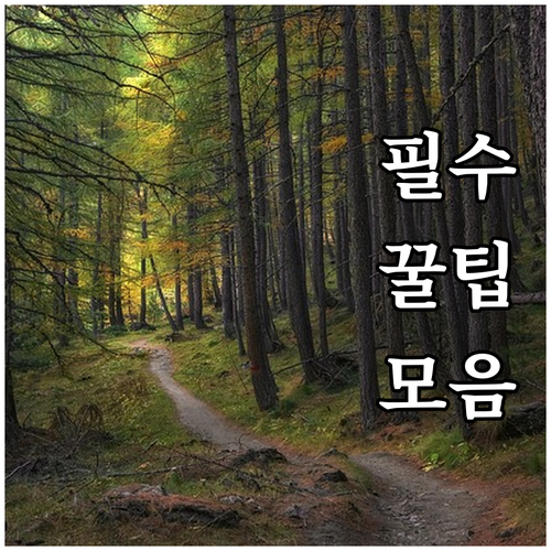 2025 울산 소상공인 사업 최대 2..