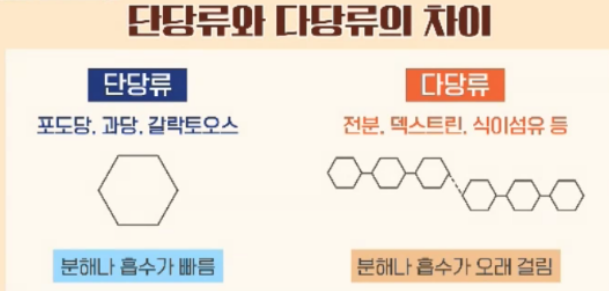 BNR17유산균 효능