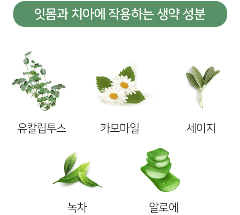 치약 추천 순위 TOP 7 - 네이버, 쿠팡, 올리브영 판매 순위 분석