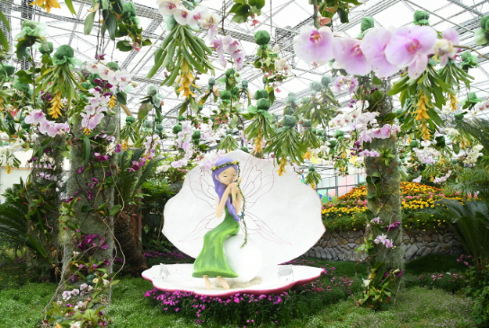 2023 함평나비축제