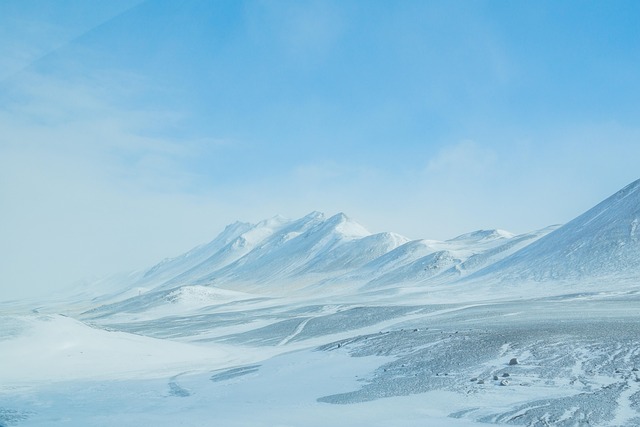 길거리에서 똥 싸는 꿈 해몽 (똥꿈해몽풀이&amp;#44; 무료꿈해몽풀이)
