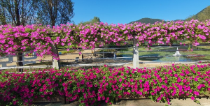5월에 인기좋은 전국축제