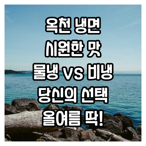 올여름 시원하게 옥천 냉면 추천 비교..