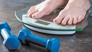 아마씨 효능 5가지와 부작용, 먹는법 아마씨유, 가루