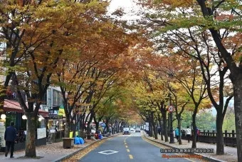 안양 가볼만한곳 추천 카페 맛집 절 최신_14