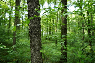 군위 사유원 예약