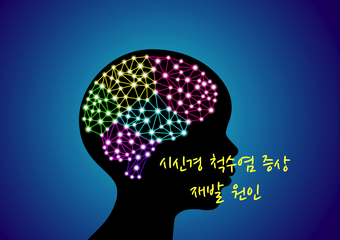 시신경척수염