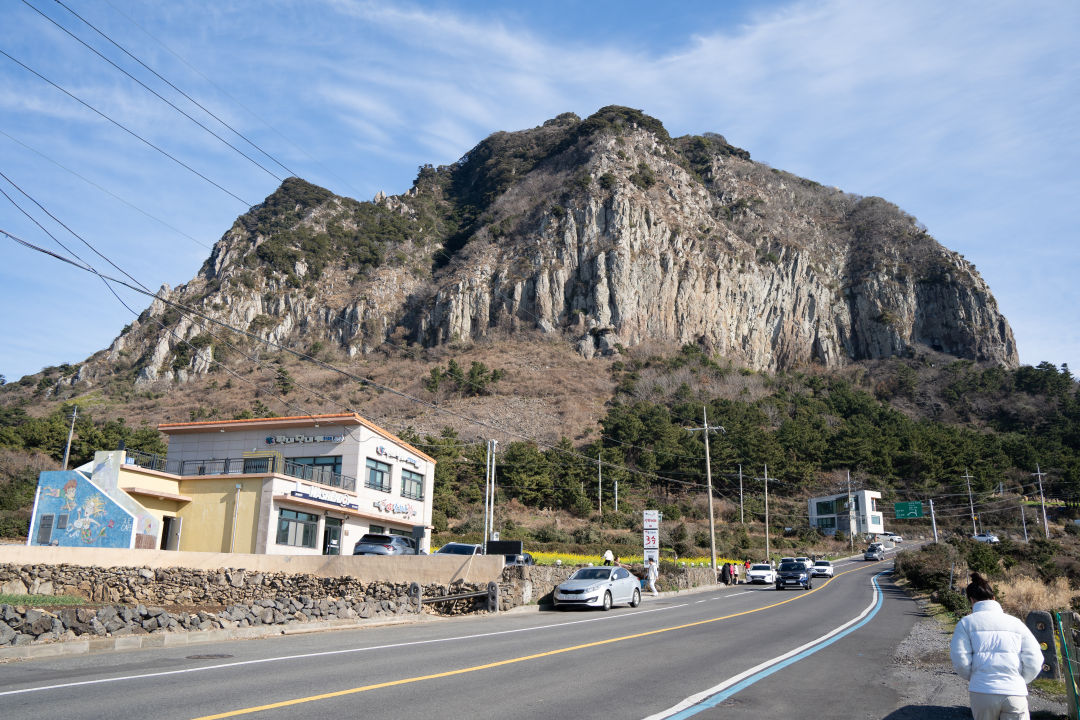 산방산 유채꽃 위치