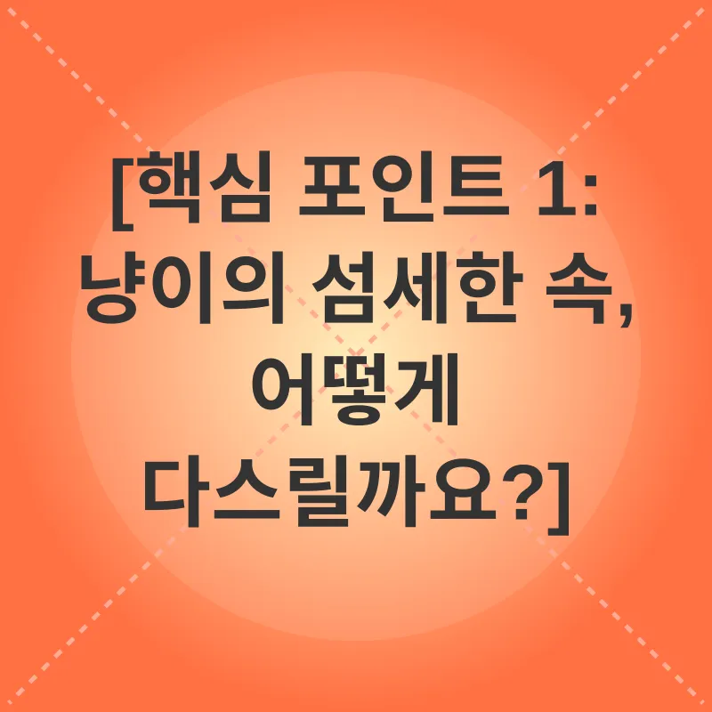 고양이 건강 관리_1