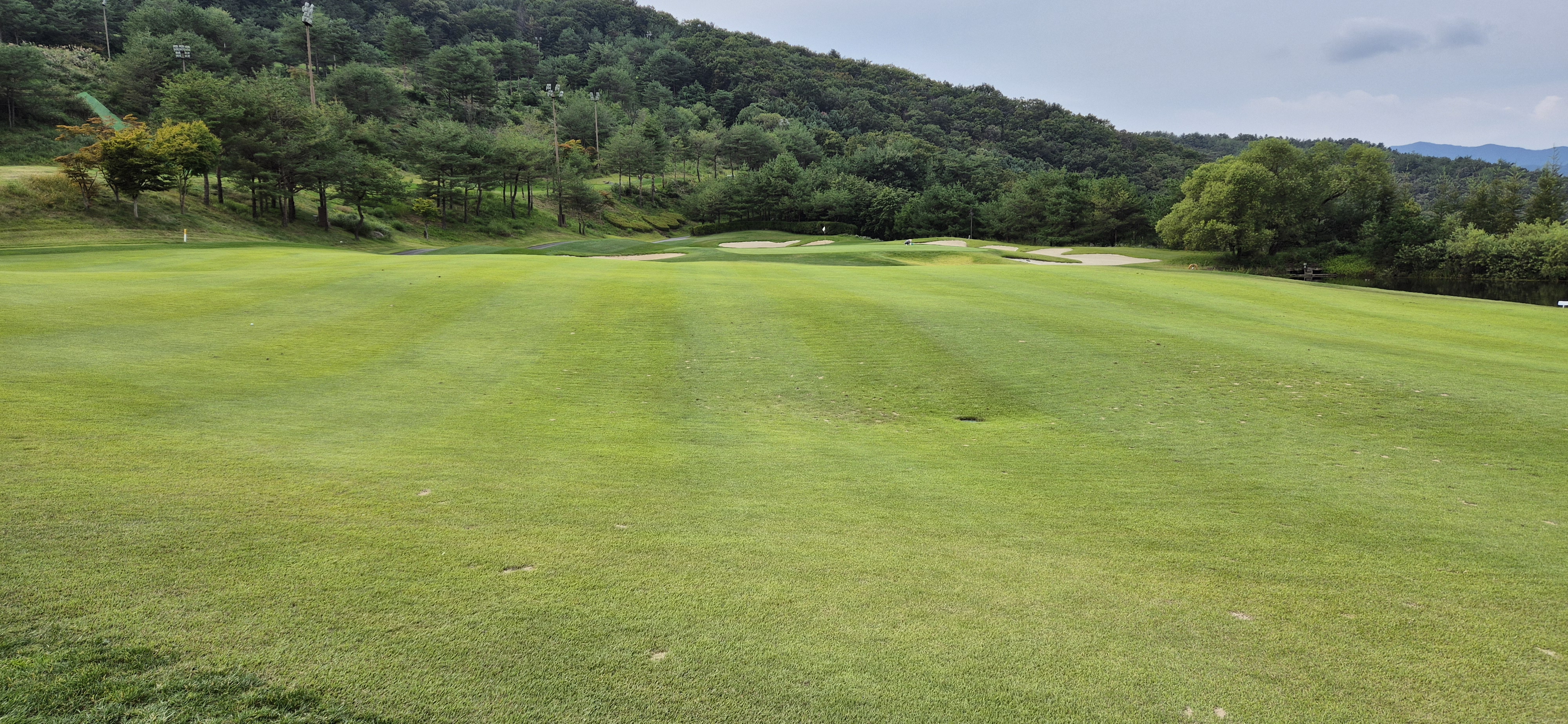 소노펠리체cc이스트