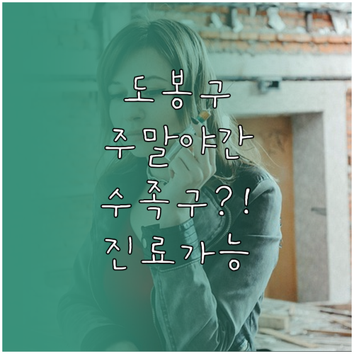 도봉구 주말 야간 진료 가능 수족구 ..