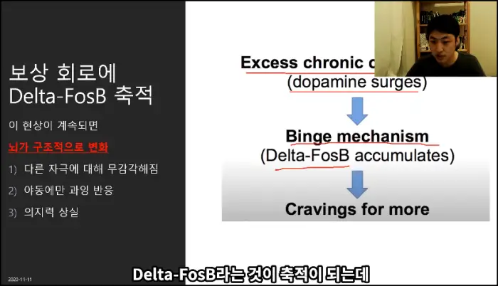 뇌가 야동에만 반응하게 되는 과정