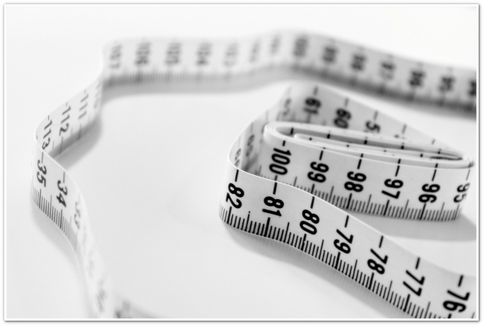 내장지방 빼는법