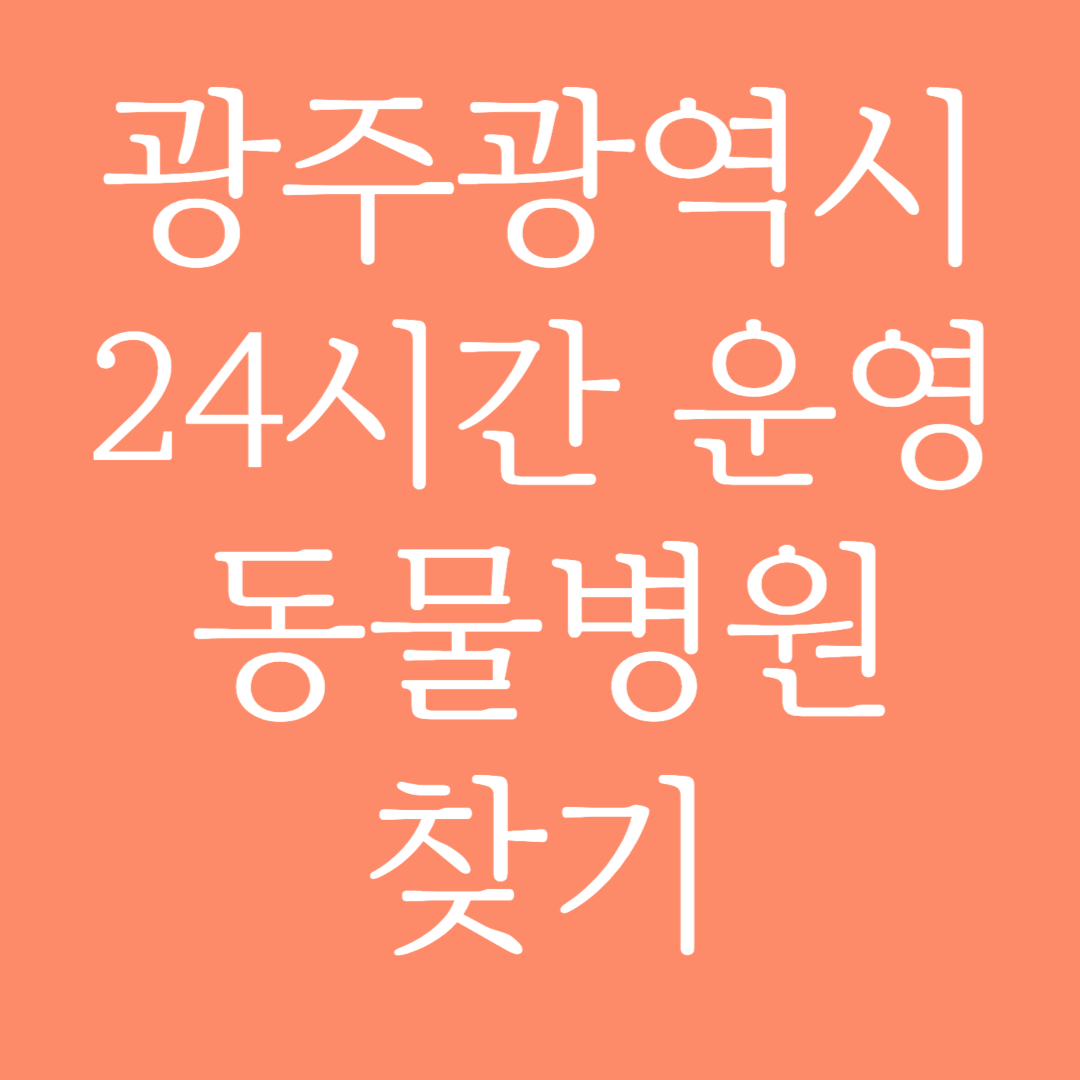 광주광역시 24시간 운영 동물병원 찾기