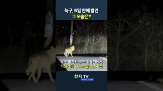 늑구 포획 실패 마취총 드론 재수사