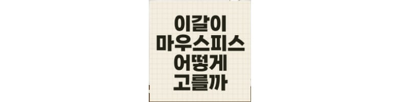 대표사진