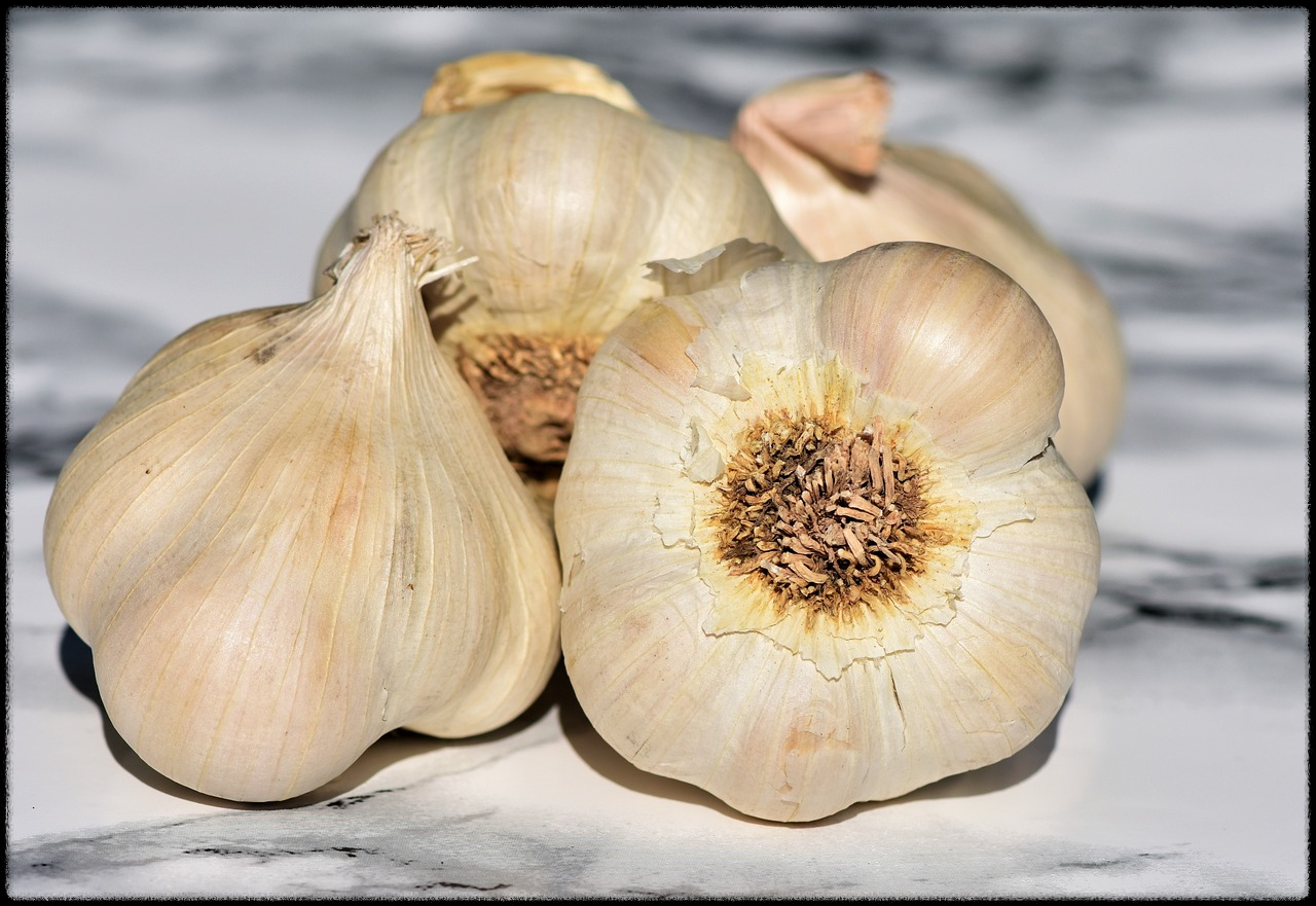 마늘 효능 이미지16