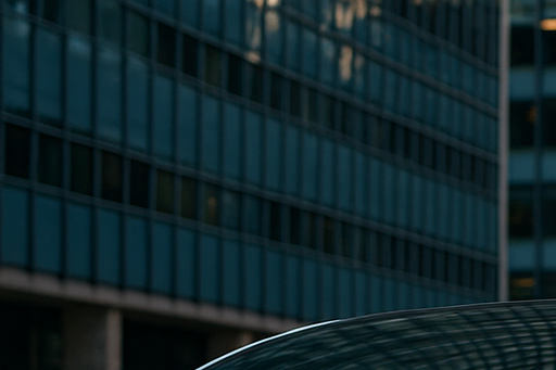 12월 공모주 페스카로 공모주 분석