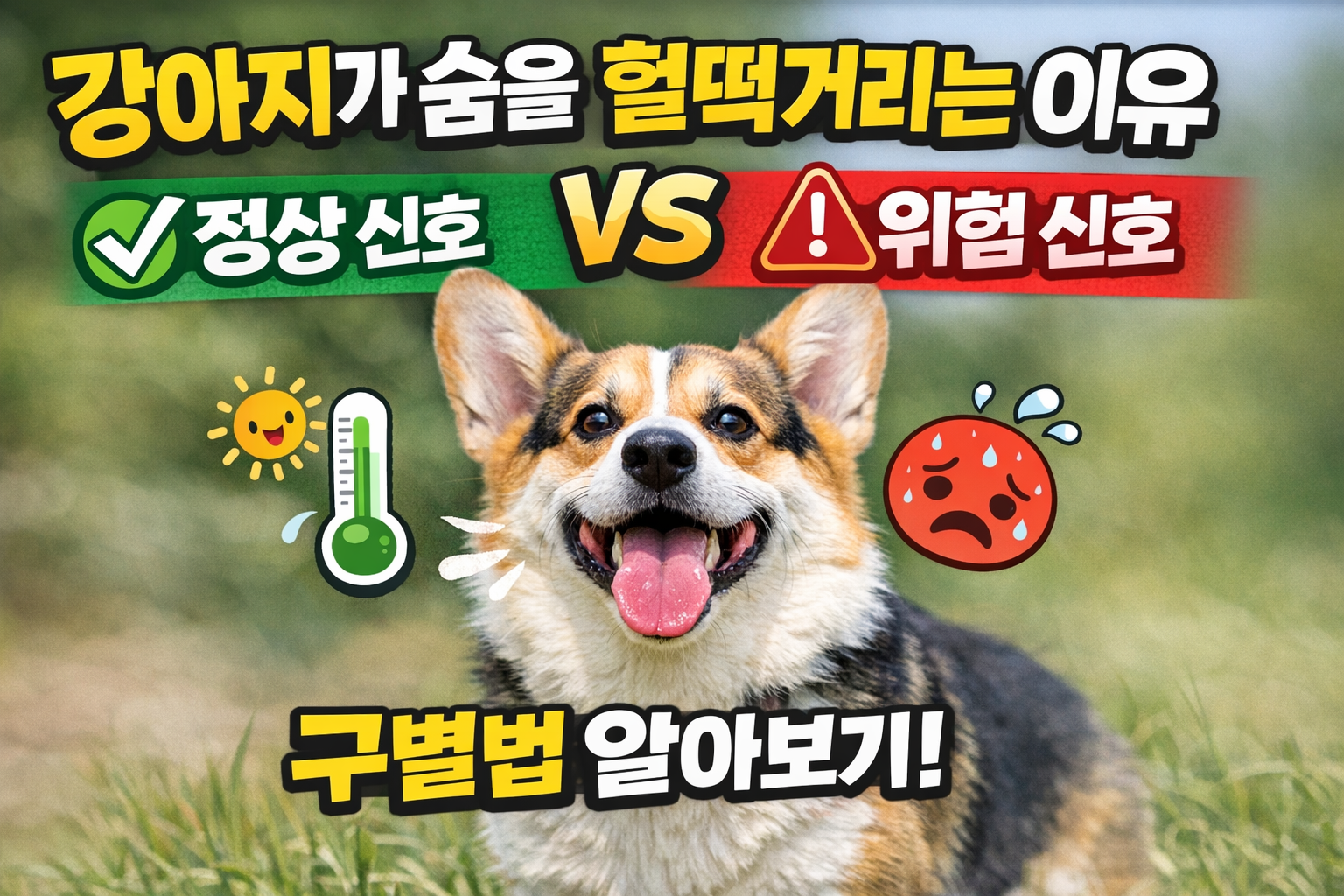 강아지가 숨을 헐떡거릴 때